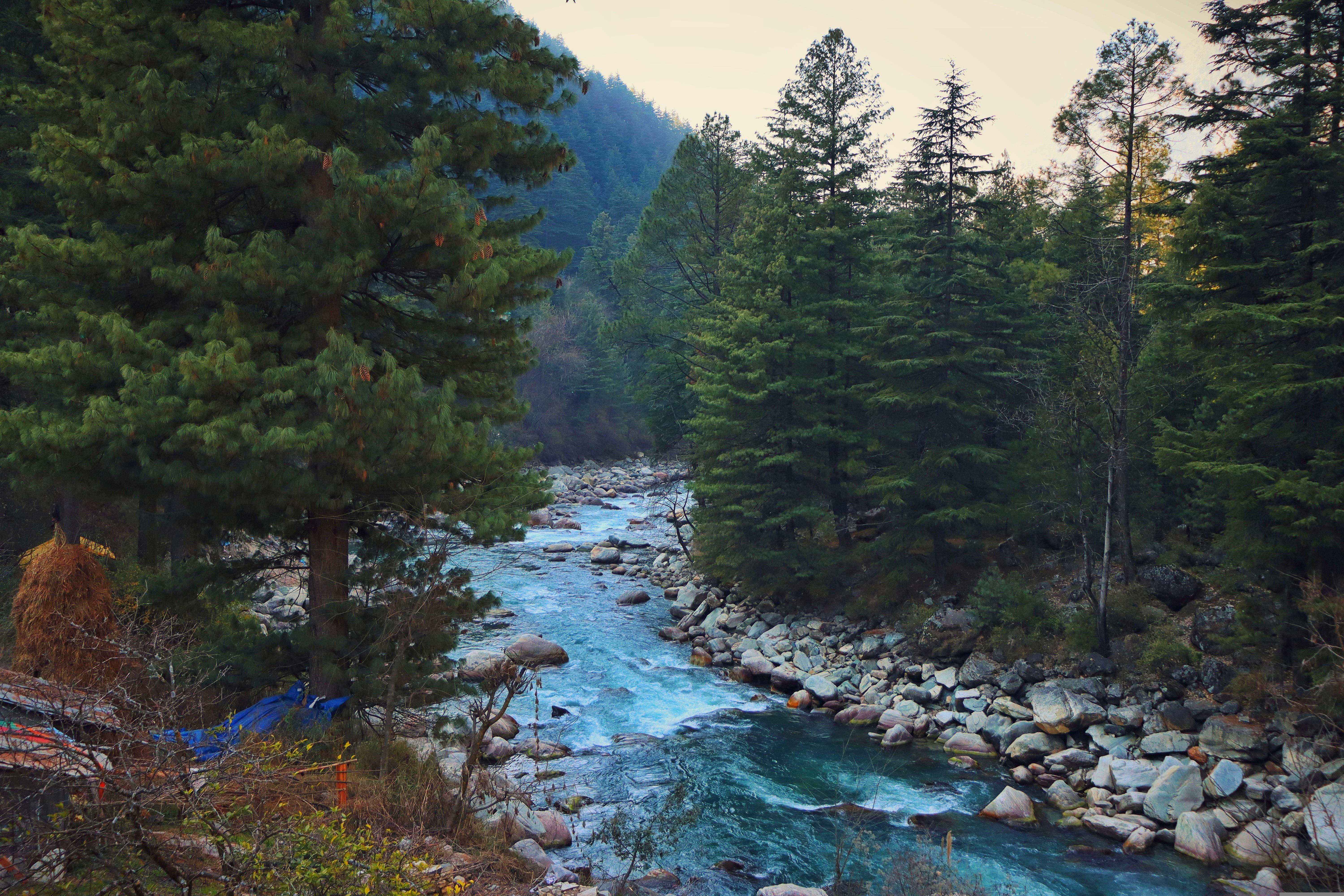Kheerganga Trek